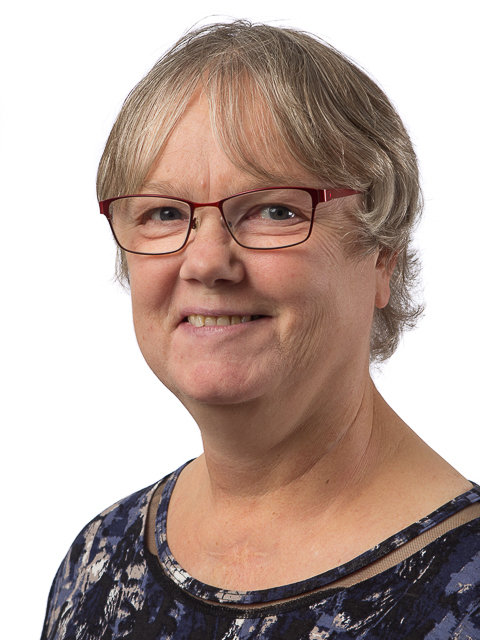 Billede af kandidaten